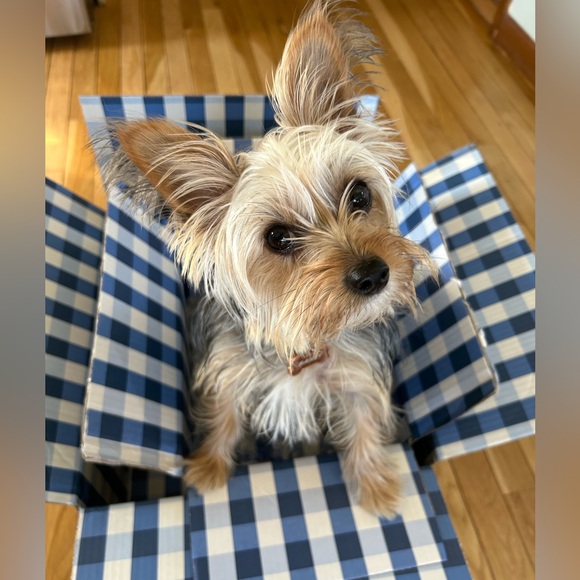 Meet your Posher, Jacqueline - Picture 4 of 14